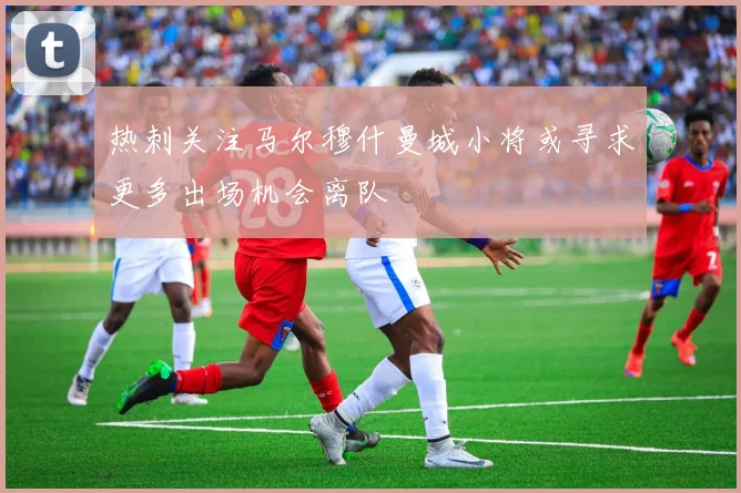 热刺关注马尔穆什曼城小将或寻求更多出场机会离队