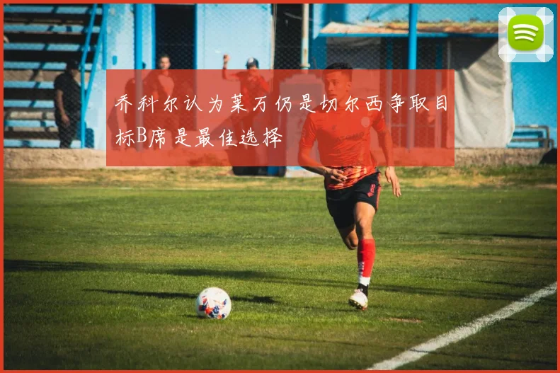 乔科尔认为莱万仍是切尔西争取目标B席是最佳选择