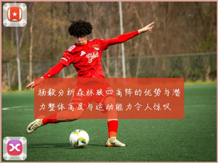 杨毅分析森林狼四高阵的优势与潜力整体高度与运动能力令人惊叹
